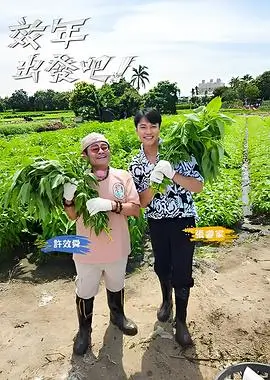 光棍影视 一个人的厨房 独居美食慢综艺